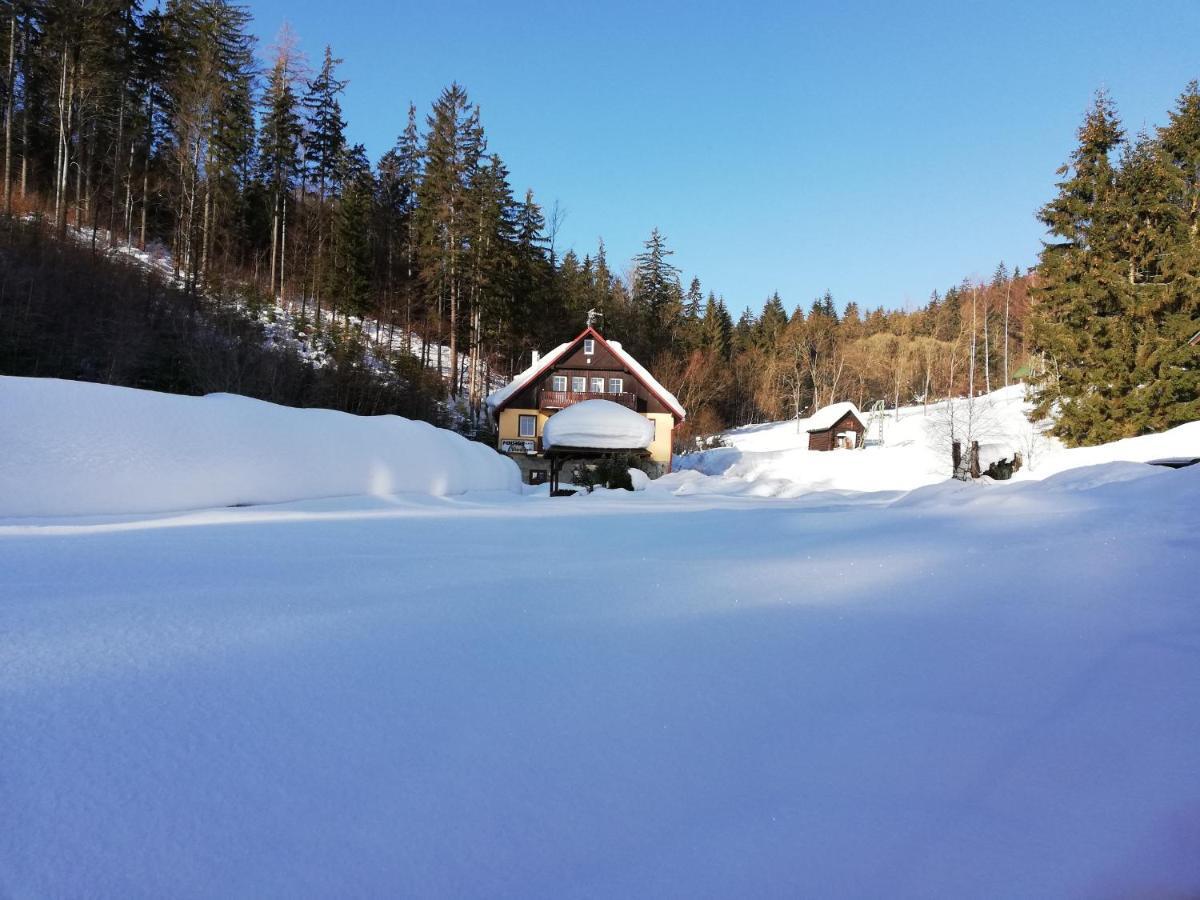 Pension Vladimír Janské Lázně Exterior foto